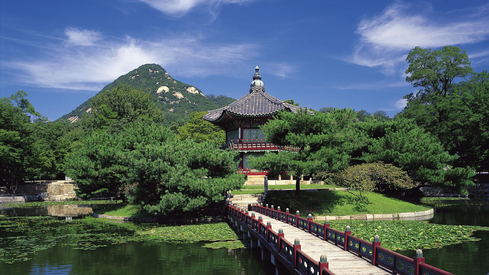 开云体育APP-一场比赛中新秀球员展现出色的表现，新秀球员什么意思