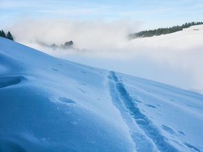 开云官方-世界青少年冰雪运动挑战赛在哈尔滨火热进行,全国青少年冰雪运动特色学校