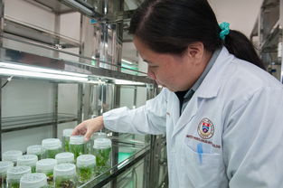 开云在线-中小学体育课安全意识培养研究，中小学体育课安全意识培养研究目的