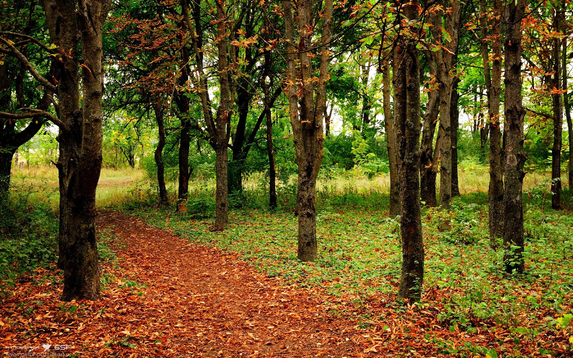 开云体育下载入口-足球场地环保材料应用逐渐普及，足球场污染环境吗